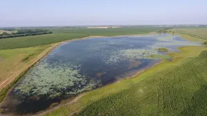 Blossom, TX 75416