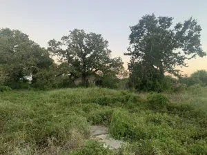 Stephenville, TX 76401