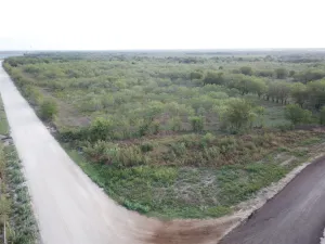 Mexia, TX 76667