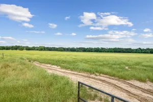 Greenville, TX 75401