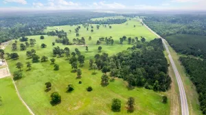 Winnsboro, TX 75494