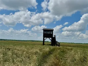 Powderly, TX 75473