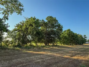 Honey Grove, TX 75446