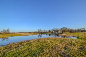 Point, TX 75472