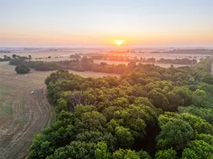 Honey Grove, TX 75446