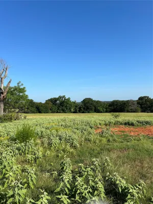 Tyler, TX 75706