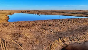 Petrolia, TX 76377