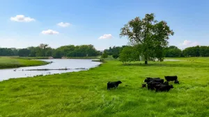Northlake, TX 76247