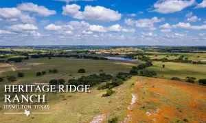 Hamilton, TX 76531