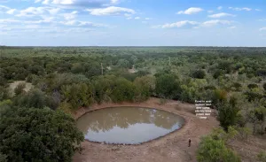 Caddo, TX 76429