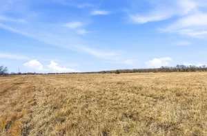 Josephine, TX 75189