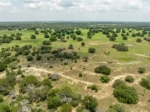 Jonesboro, TX 76538