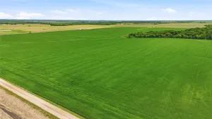 Whitesboro, TX 76273