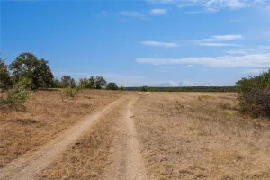 Perrin, TX 76486