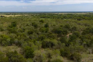 Wills Point, TX 75169