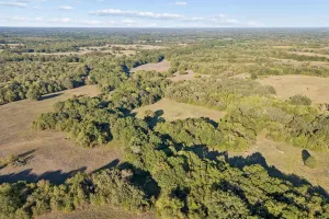 Point, TX 75472