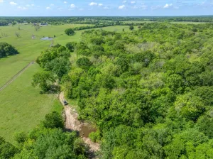 Edgewood, TX 75117