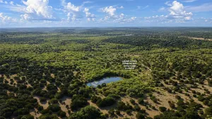 Caddo, TX 76429