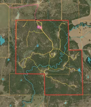 Bowie, TX 76230