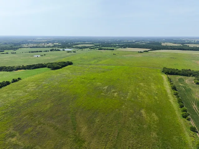 Honey Grove, TX 75446