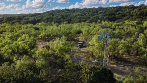 Caddo, TX 76429