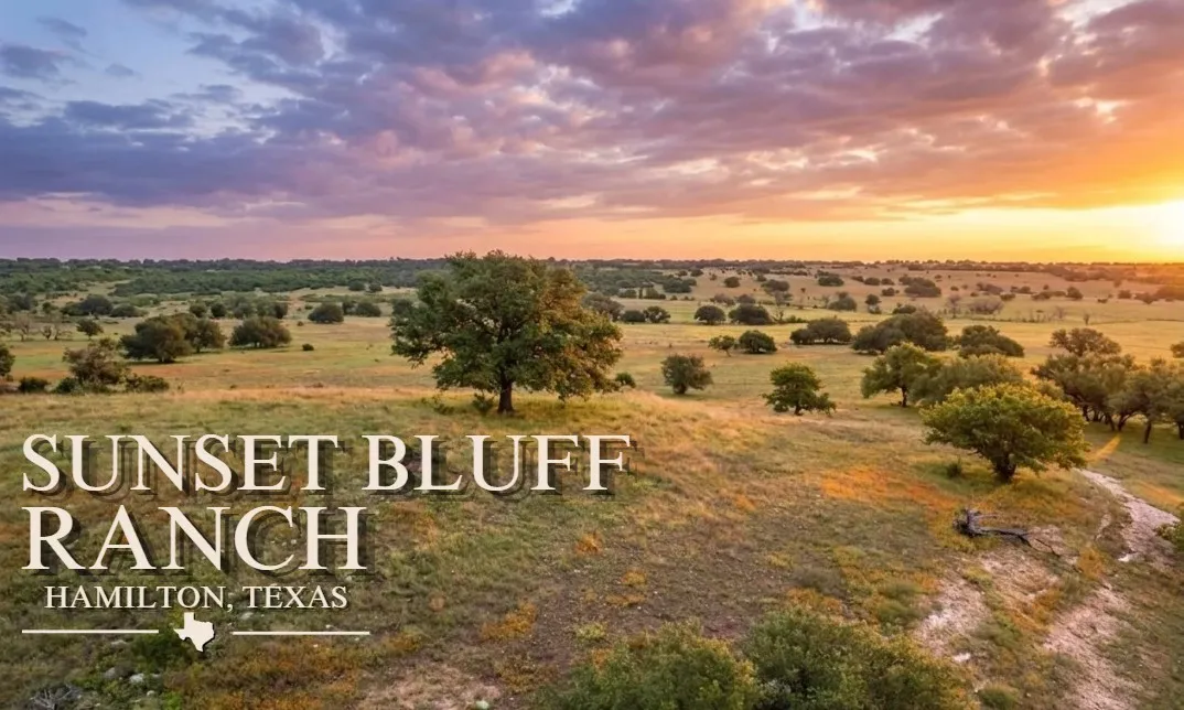 Hamilton, TX 76531