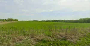 Howe, TX 75459