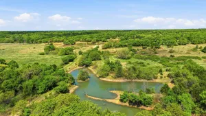 Forestburg, TX 76239