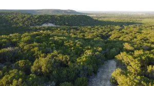 Abilene, TX 79602