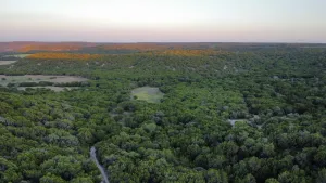 Abilene, TX 79602