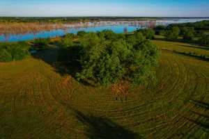Dodd City, TX 75438