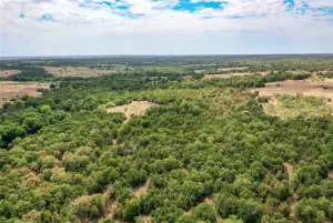 Perrin, TX 76486