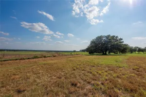 Jonesboro, TX 76538