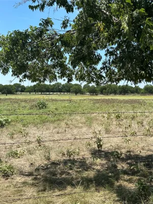 Tioga, TX 76271