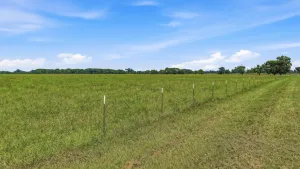 Denison, TX 75021