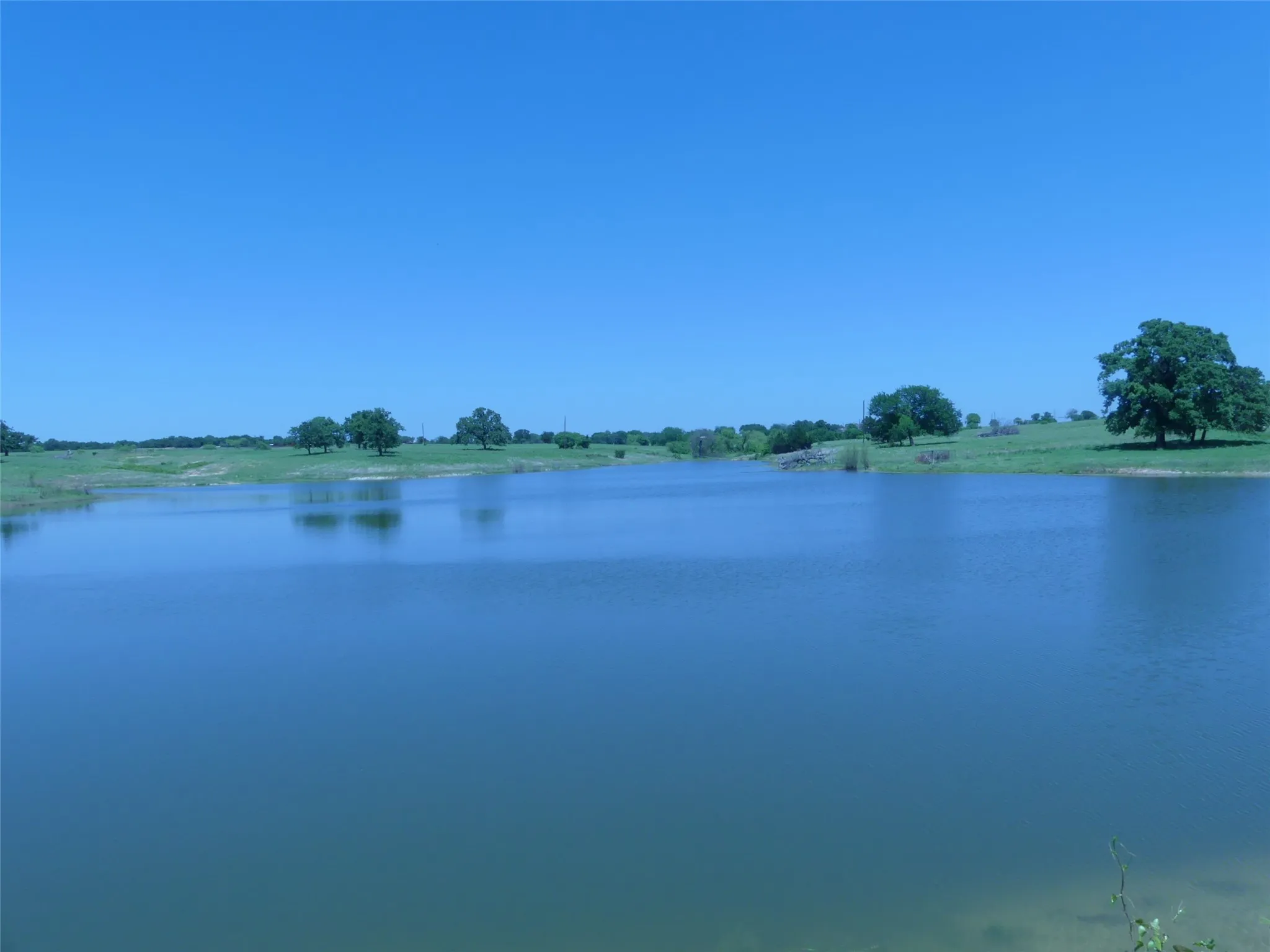 Forestburg, TX 76239