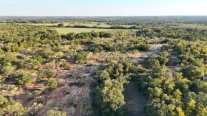 Gorman, TX 76454