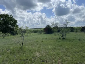 Chico, TX 76431