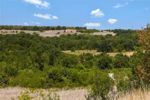 Perrin, TX 76486
