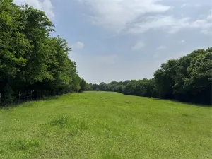 Mc Kinney, TX 75071