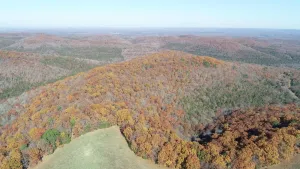 Branson, MO 65672