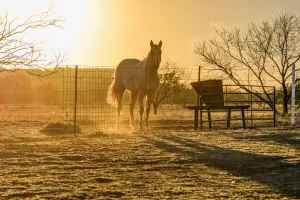 Coleman, TX 76834