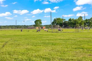 Wallis, TX 77485