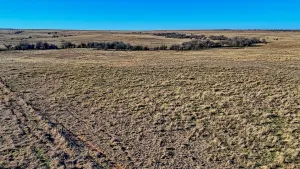 Petrolia, TX 76377