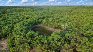 Caddo, TX 76429