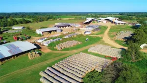 Winnsboro, TX 75494