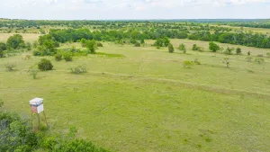 Carlton, TX 76436
