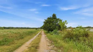 Collinsville, TX 76233