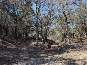 Lampasas, TX 76550