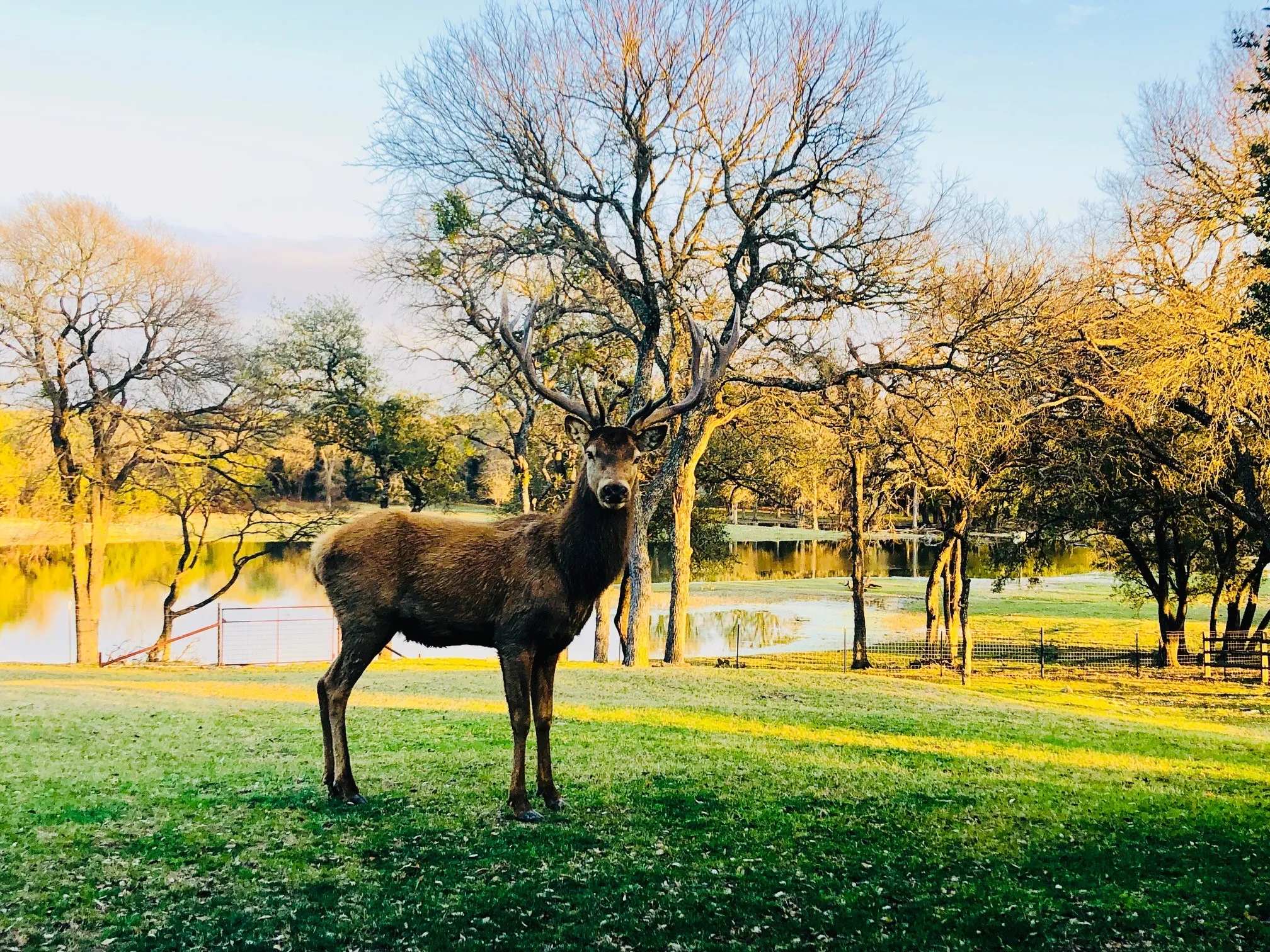 Lampasas, TX 76550